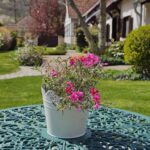 Tavaszi feltöltődés 10% kedvezménnyel